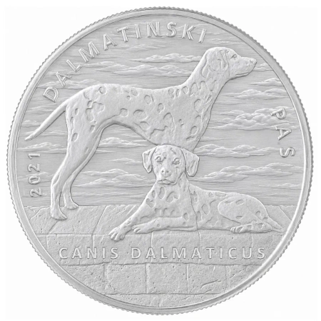 SREBRNA MONETA DALMATYŃCZYK CHORWACJA 1 oz 24H VM